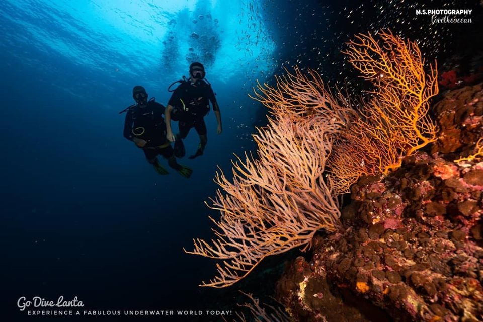 ko lanta 1 ko lanta 1